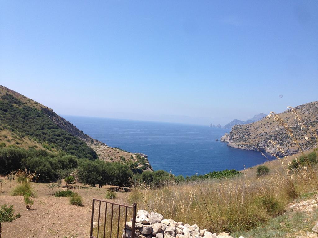 نيرانو Olga'S Residence Relais المظهر الخارجي الصورة